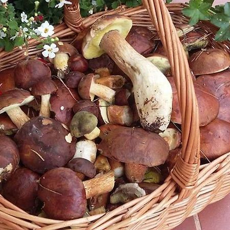 Agroturystyka Rebowo Klodawa  Exteriér fotografie