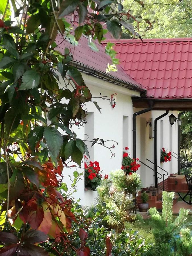 Agroturystyka Rebowo Klodawa  Exteriér fotografie