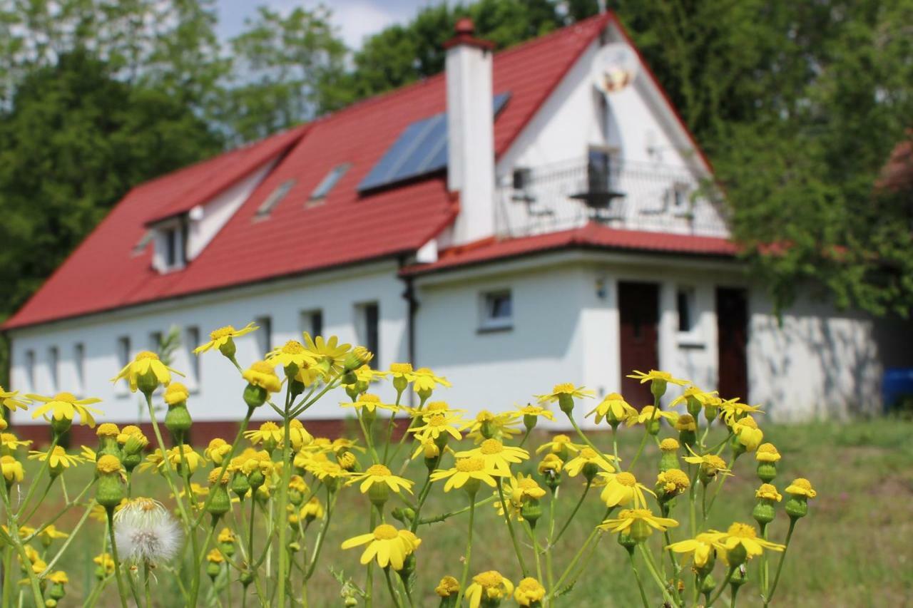Agroturystyka Rebowo Klodawa  Exteriér fotografie